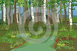 Swamp biotope with pond